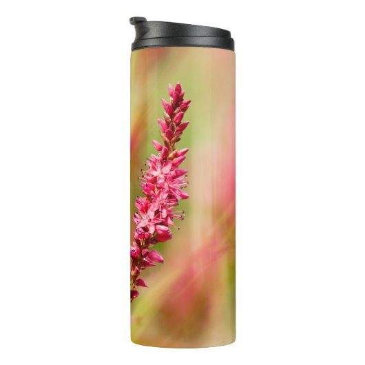 Bouteilles Isothermes buisson de couleur (Tourné sur la droite)