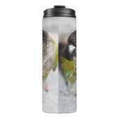 Bouteilles Isothermes Burbel (Devant)