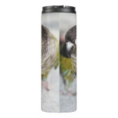 Bouteilles Isothermes Burbel (Dos)