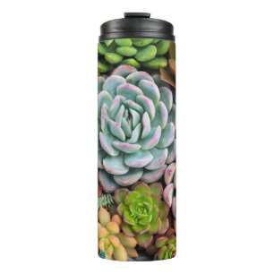 Bouteilles Isothermes Cactus Succulent tumbler
