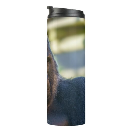 Bouteilles Isothermes Café argenté frappant (Tourné sur la droite)