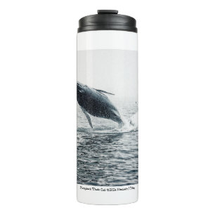 Bouteilles Isothermes Calf de baleine à bosse