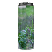 Bouteilles Isothermes Calico Cat (Dos)