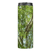 Bouteilles Isothermes Canopée du printemps Feuille Green Nature Scene (Dos)