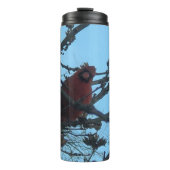 Bouteilles Isothermes Cardinal (Devant)