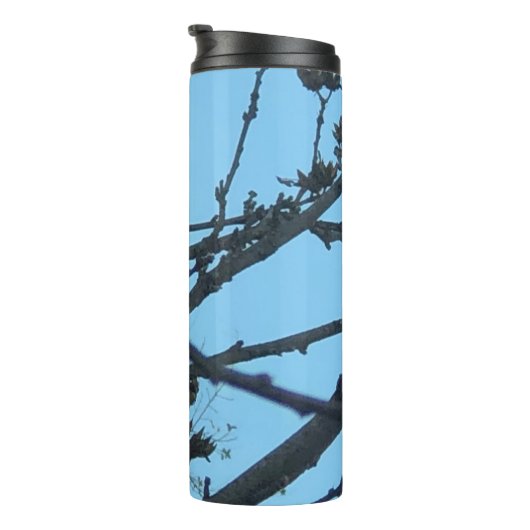 Bouteilles Isothermes Cardinal (Tourné sur la droite)