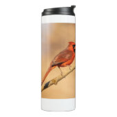 Bouteilles Isothermes Cardinal du Nord (Tourné sur la gauche)