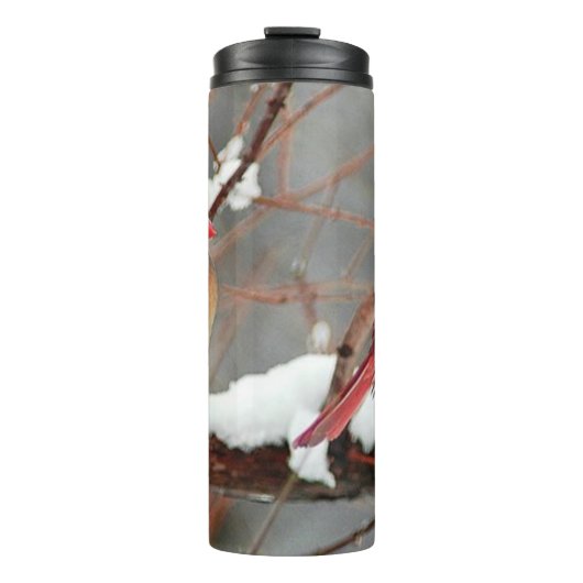 Bouteilles Isothermes cardinaux hommes et femmes (Devant)