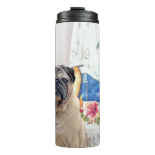 Bouteilles Isothermes Carlin Surf