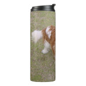 Bouteilles Isothermes Cavalier roi-charles-spaniel plein (Tourné sur la gauche)