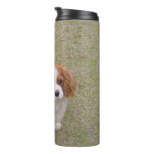 Bouteilles Isothermes Cavalier roi-charles-spaniel plein (Tourné sur la droite)