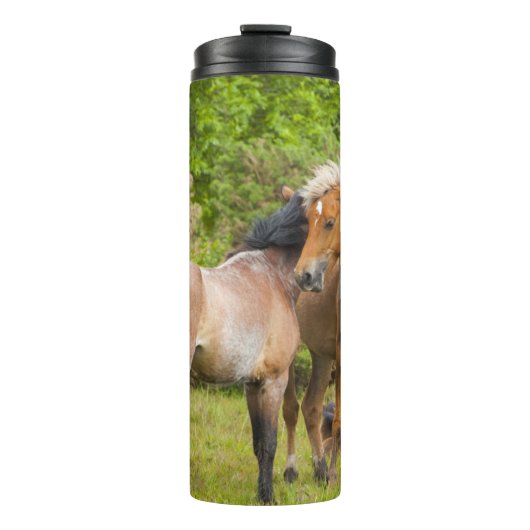 Bouteilles Isothermes Chaleur de cheval (Devant)