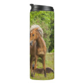 Bouteilles Isothermes Chaleur de cheval (Tourné sur la droite)