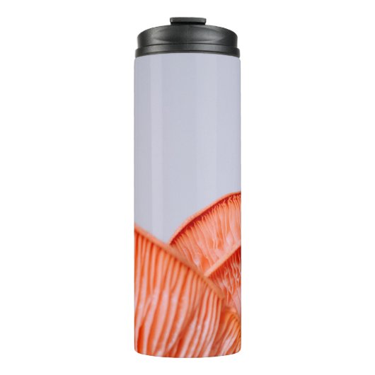 BOUTEILLES ISOTHERMES CHAMBRES ROSES (Devant)