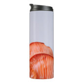 BOUTEILLES ISOTHERMES CHAMBRES ROSES (Tourné sur la droite)