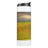 Bouteilles Isothermes Champ 11 (Tourné sur la gauche)