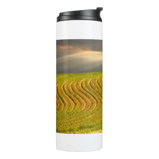 Bouteilles Isothermes Champ 11 (Tourné sur la gauche)