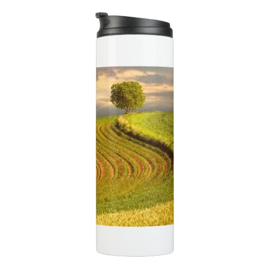 Bouteilles Isothermes Champ 11 (Tourné sur la droite)