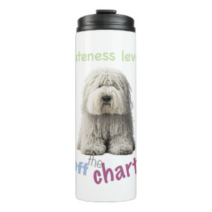 Bouteilles Isothermes Chapeau de camion