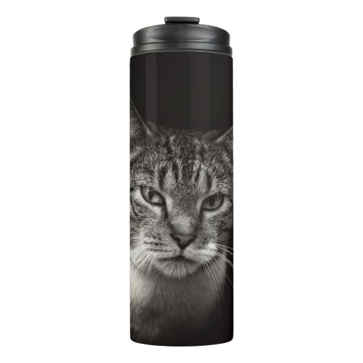 BOUTEILLES ISOTHERMES CHAT TABLEAU D'ARGENT (Devant)