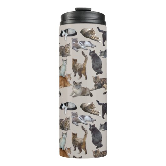 Bouteilles Isothermes Chats (Devant)