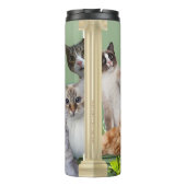 Bouteilles Isothermes Chats Bravo Fille Vous Avez Ça (Dos)