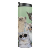 Bouteilles Isothermes Chats Bravo Fille Vous Avez Ça (Tourné sur la droite)