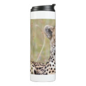 Bouteilles Isothermes Cheetah (Tourné sur la gauche)