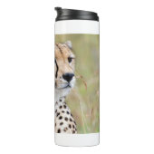 Bouteilles Isothermes Cheetah (Tourné sur la droite)