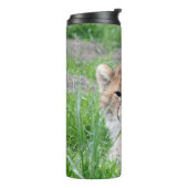 Bouteilles Isothermes Cheetah 002 (Tourné sur la gauche)