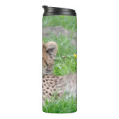 Bouteilles Isothermes Cheetah 002 (Tourné sur la droite)