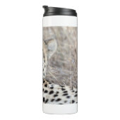 Bouteilles Isothermes Cheetah Portrait (Tourné sur la droite)