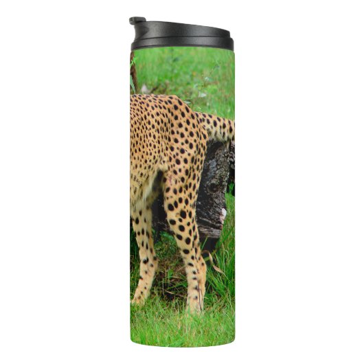 Bouteilles Isothermes Cheetah Tumbler (Tourné sur la droite)