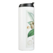 Bouteilles Isothermes Chêne vert (Tourné sur la gauche)