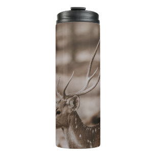 BOUTEILLES ISOTHERMES CHER AVEC DES ANTLERS