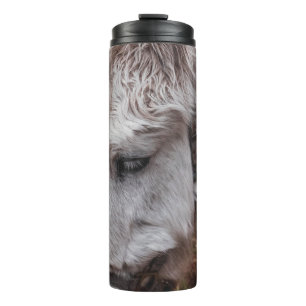 BOUTEILLES ISOTHERMES CHEVAL BLANC