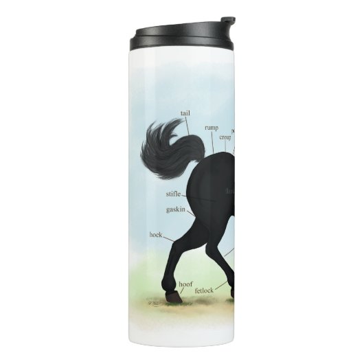 Bouteilles Isothermes Cheval noir avec carte d'anatomie Star & Sock (Tourné sur la gauche)