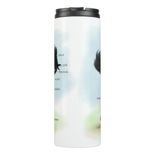 Bouteilles Isothermes Cheval noir avec carte d'anatomie Star & Sock (Dos)