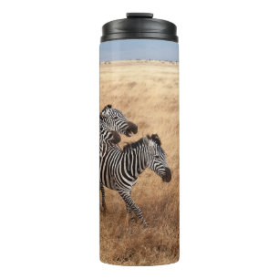 BOUTEILLES ISOTHERMES CHEVAL RACE