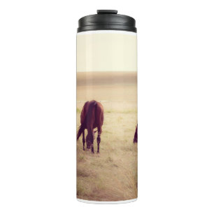 Bouteilles Isothermes Chevaux au pâturage