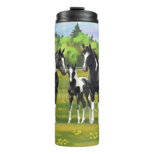 Bouteilles Isothermes Chevaux De Peinture De Pinto Noir En Pâturage Été
