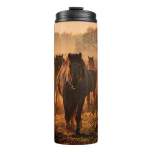 Bouteilles Isothermes Chevaux sauvages : Rencontre intense avec le regar