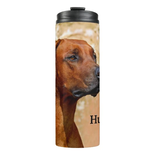 Bouteilles Isothermes Chien de Rhodesian Ridgeback (Devant)