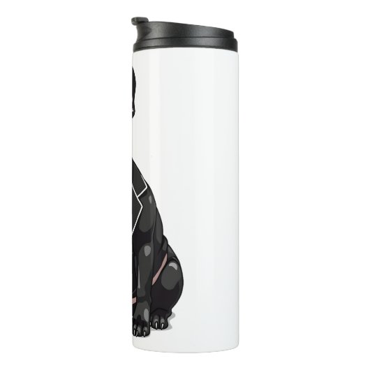 Bouteilles Isothermes Chien de taureaux français à Tuxedo (Tourné sur la droite)