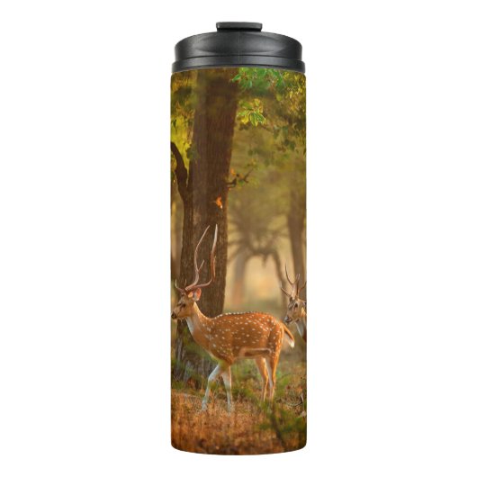 Bouteilles Isothermes Chien ou cheetal, axe Axe, cerfs tachetés ou axi (Devant)