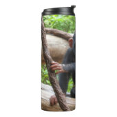 Bouteilles Isothermes Chimpanzée 001 (Tourné sur la gauche)