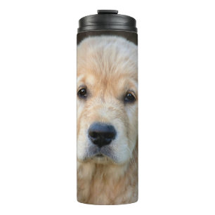 Bouteilles Isothermes Chiot Golden Retriever