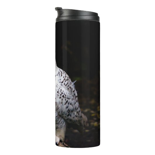 Bouteilles Isothermes Chouette hivernale majestueuse (Tourné sur la droite)