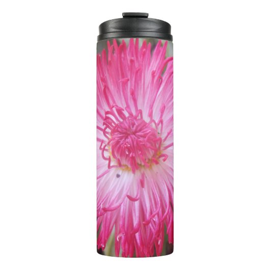 Bouteilles Isothermes Cogniet (Devant)