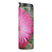 Bouteilles Isothermes Cogniet (Tourné sur la droite)